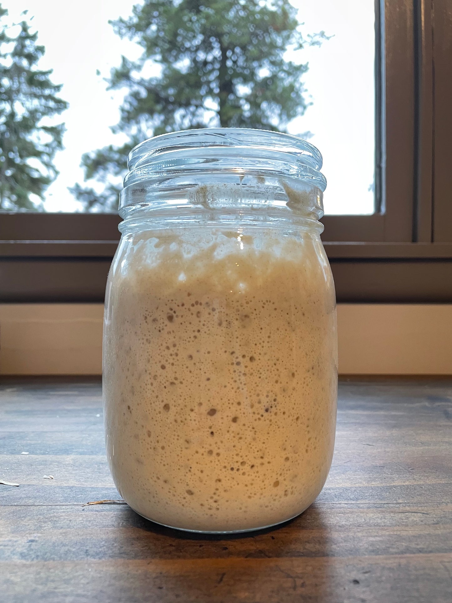 Dehydrated Sourdough Starter