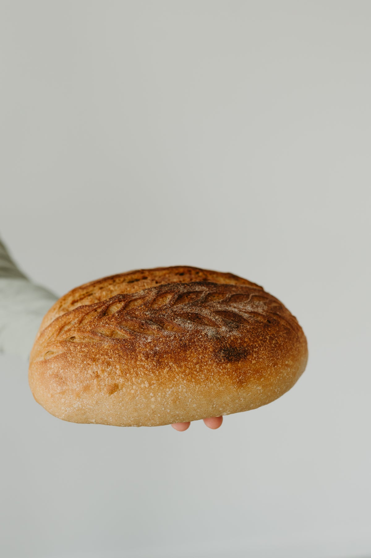 Dehydrated Sourdough Starter